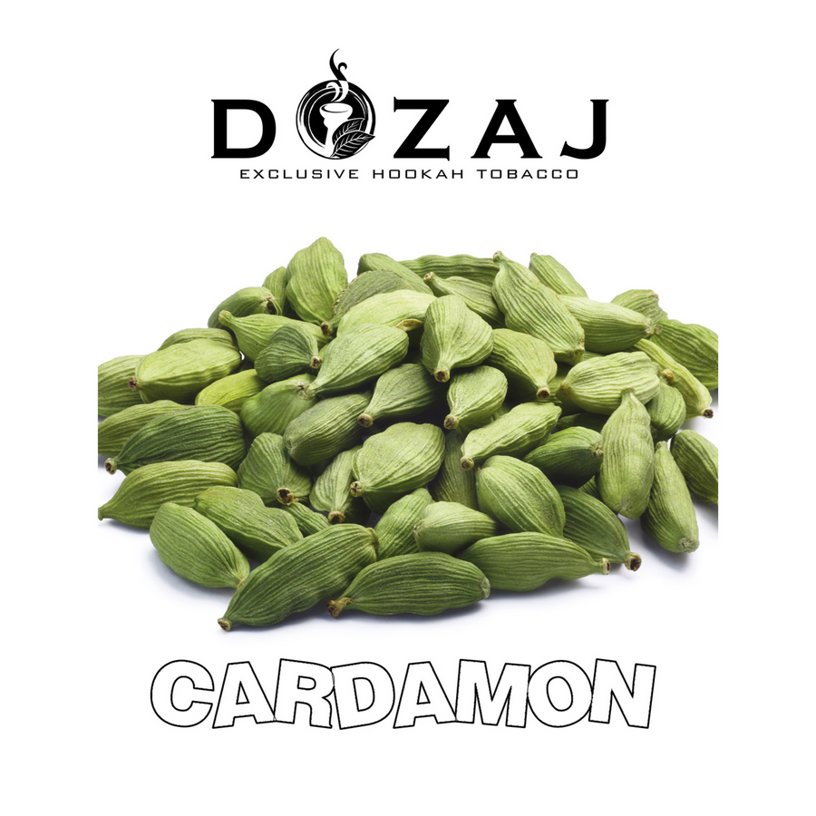 シーシャフレーバー｜CARDAMON 50g – DOZAJ – NEWEMO SHISHA