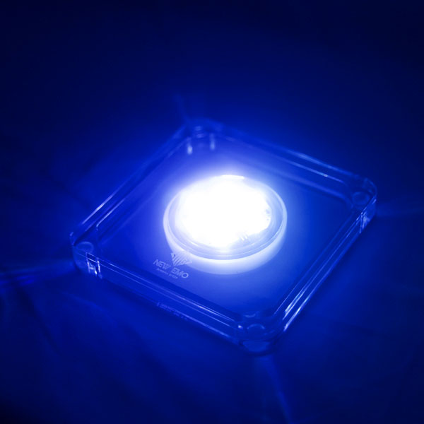 商品画像 シーシャLEDライト ニューエモシーシャ LEDライト ブルーライト